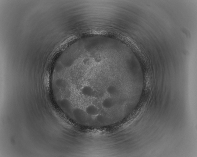 X0000112960542200909101634