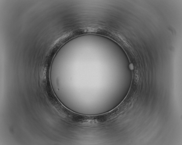 X0000112960543200909101634