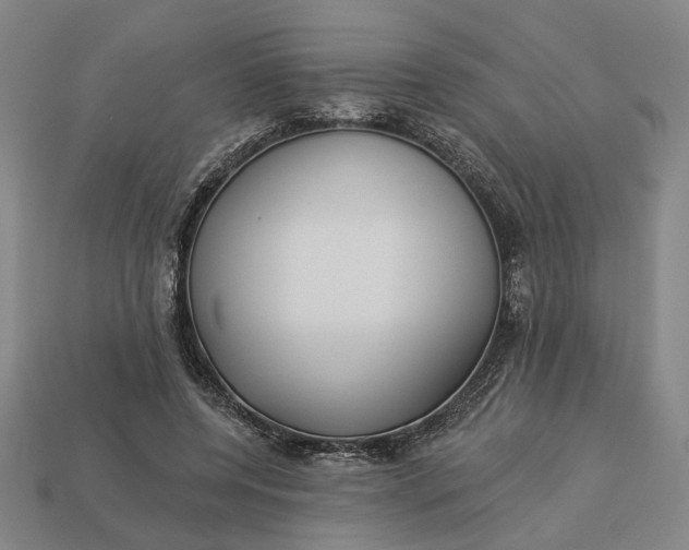 X0000112960544200909101634