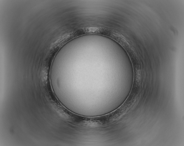 X0000112960545200909101634