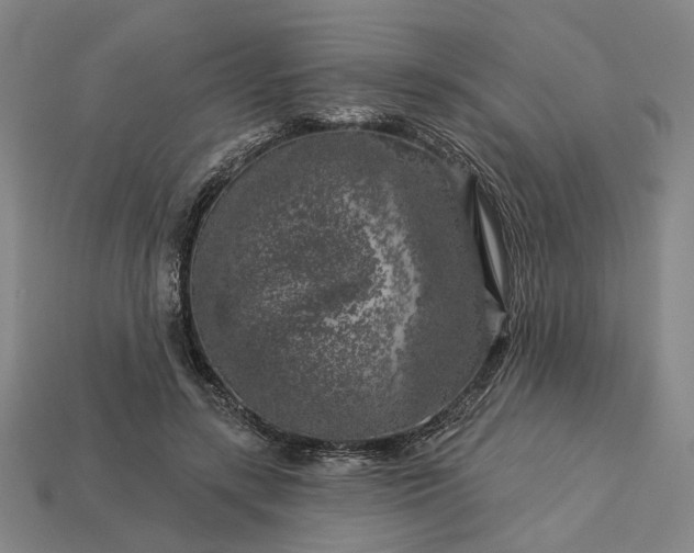 X0000112960547200909101634