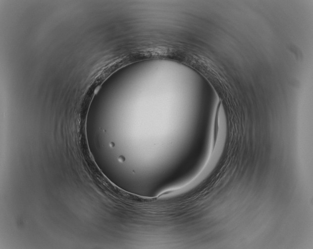 X0000112960548200909101634