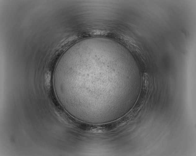 X0000112960550200909101634