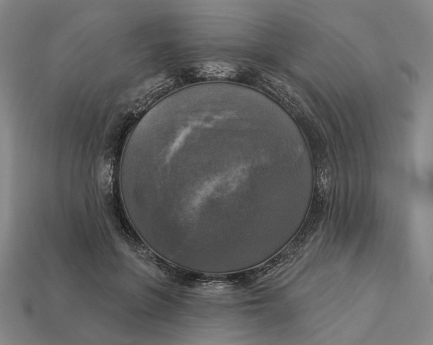 X0000112960551200909101634