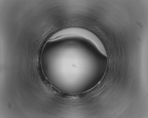 X0000112960552200909101634