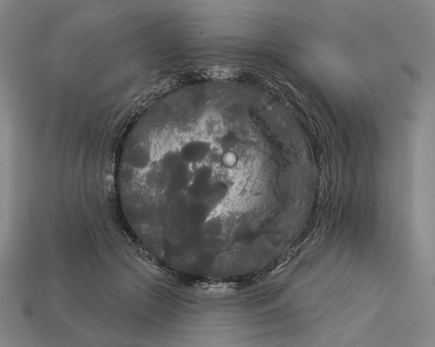 X0000112960553200909101635