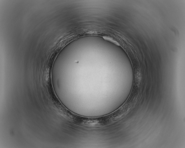 X0000112960554200909101635