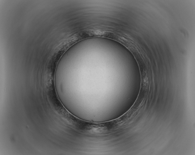 X0000112960555200909101635