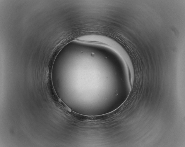 X0000112960556200909101635