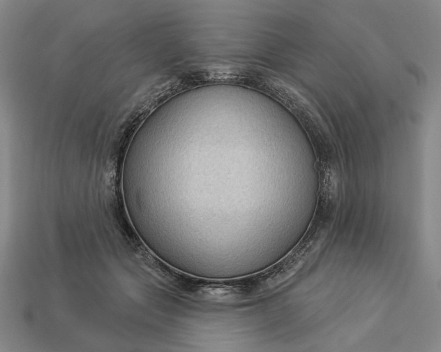 X0000112960557200909101635