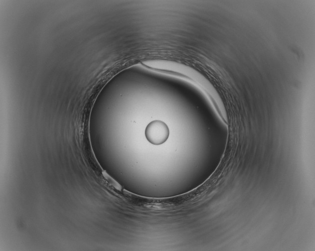 X0000112960558200909101635