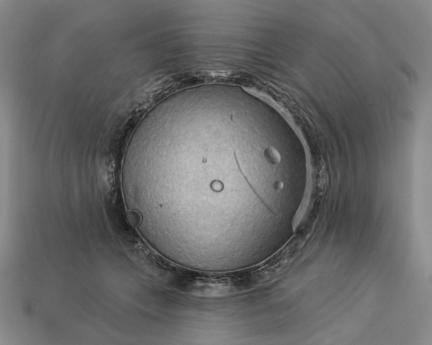 X0000112960559200909101635