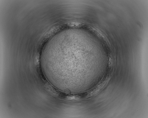 X0000112960561200909101635