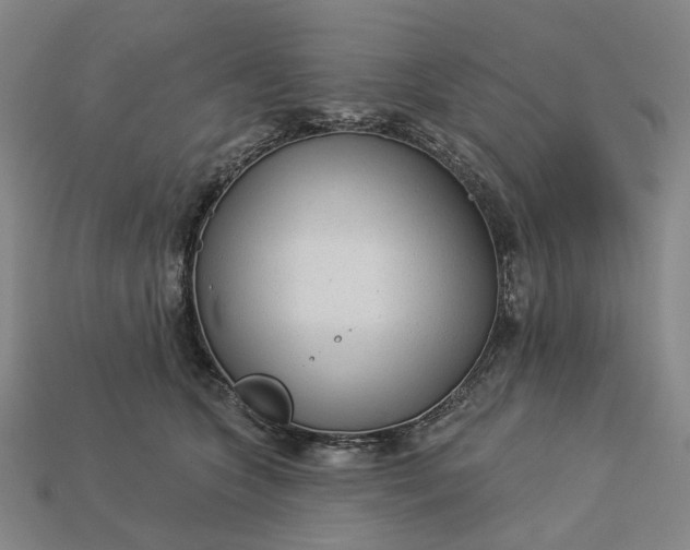 X0000112960563200909101635