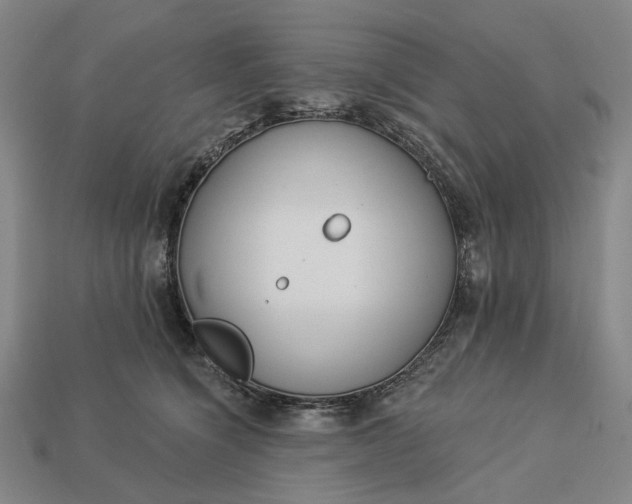 X0000112960564200909101635