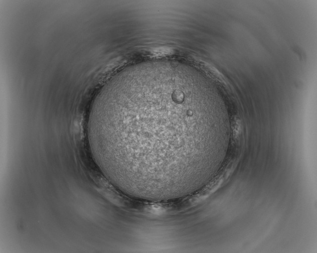 X0000112960565200909101635