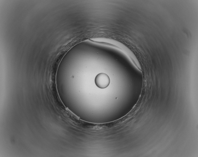 X0000112960566200909101635