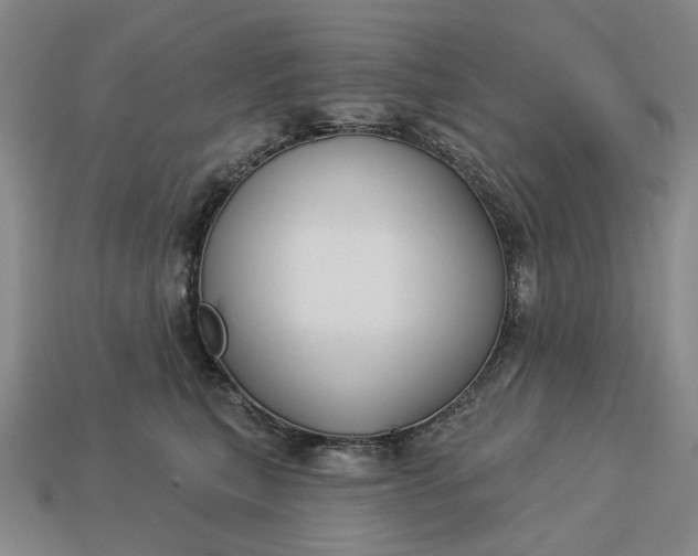 X0000112960567200909101635