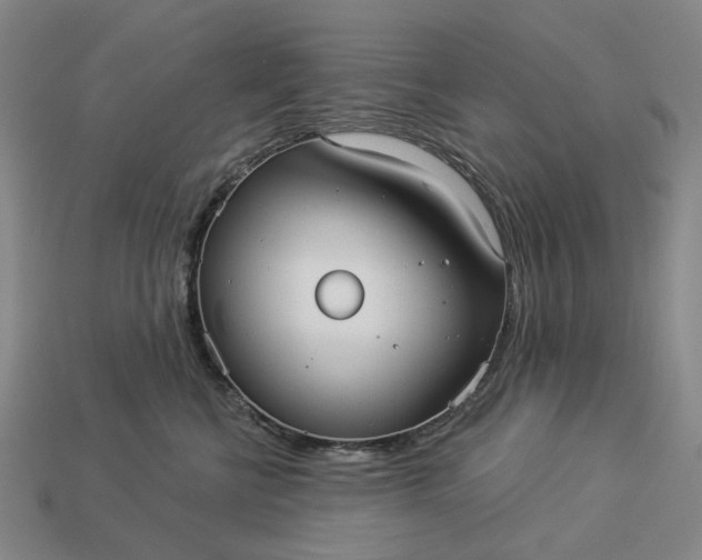 X0000112960570200909101635