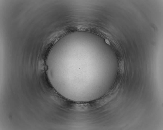 X0000112960571200909101635