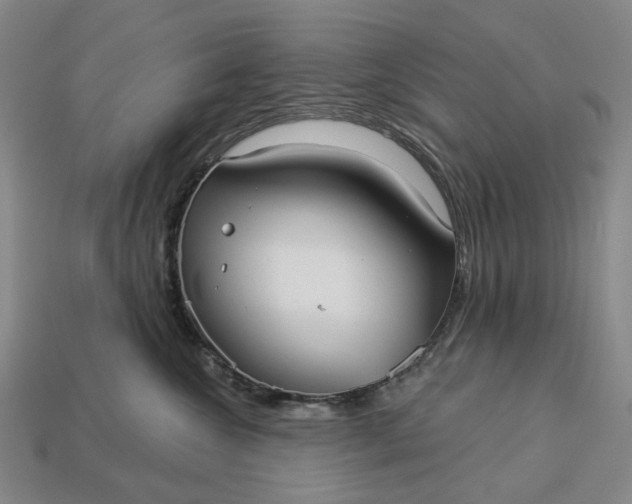 X0000112960572200909101635