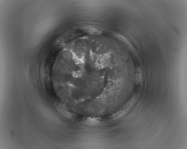 X0000112960573200909101635