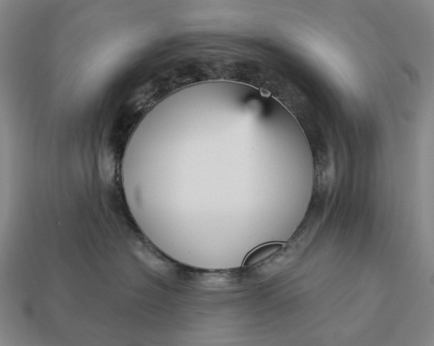 X0000112960574200909101635