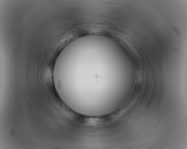 X0000112960575200909101635