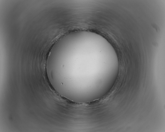 X0000112960576200909101635