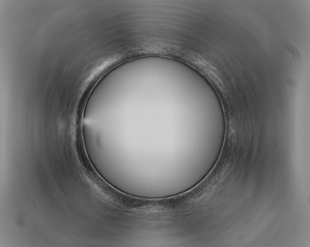 X0000112960578200909101634