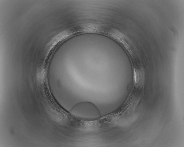 X0000112960579200909101634