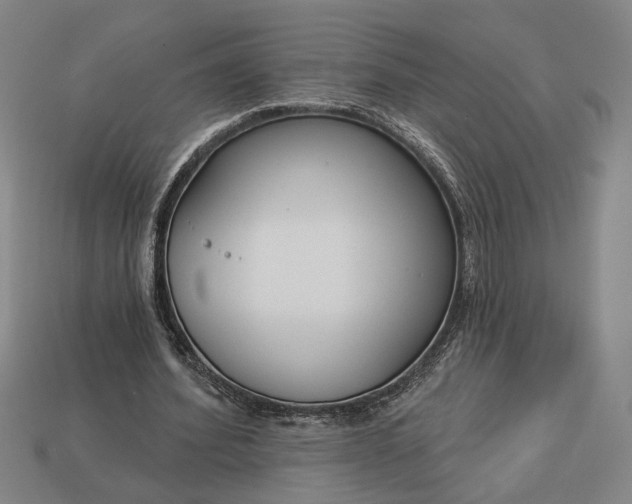 X0000112960580200909101634