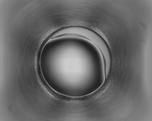 X0000112960581200909101634