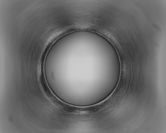 X0000112960582200909101634