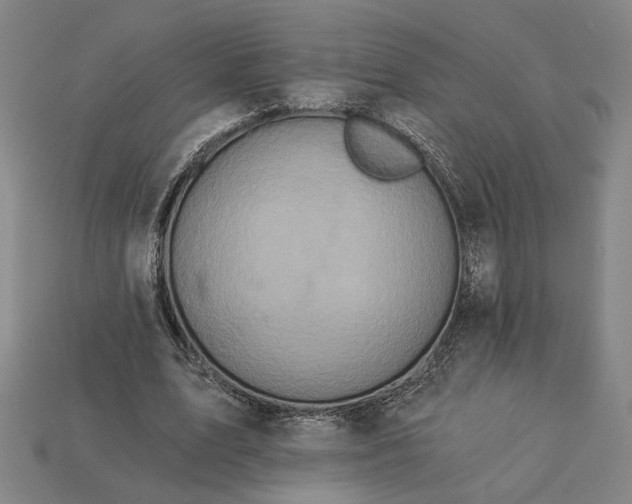 X0000112960583200909101634