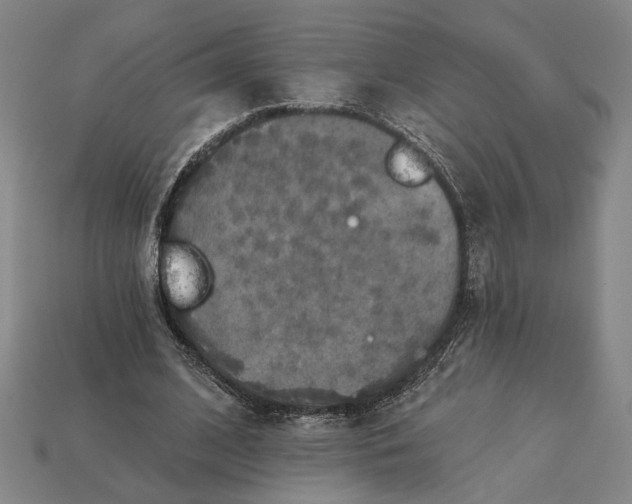 X0000112960584200909101634