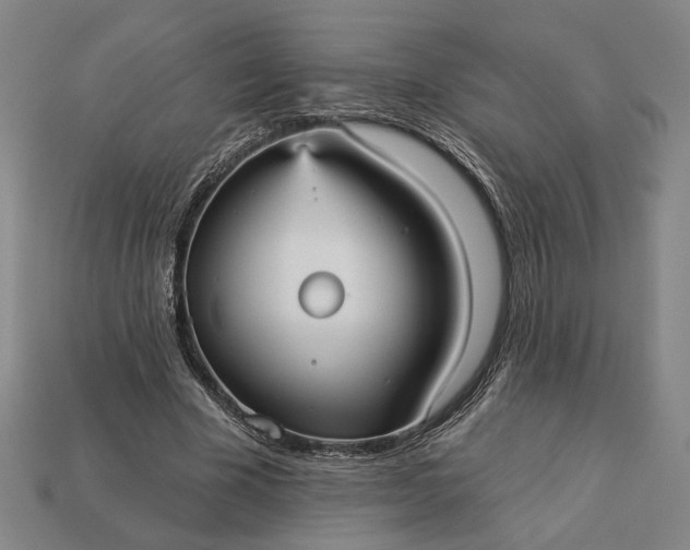 X0000112960585200909101634