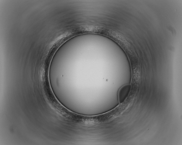 X0000112960587200909101634