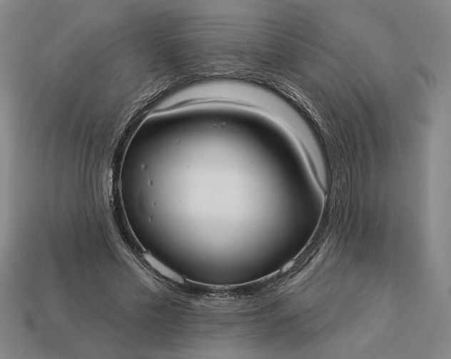 X0000112960589200909101634