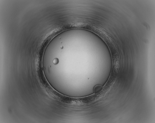 X0000112960591200909101634