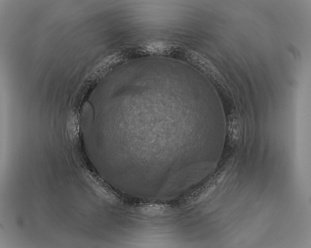 X0000112960593200909101634