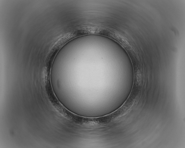 X0000112960594200909101634