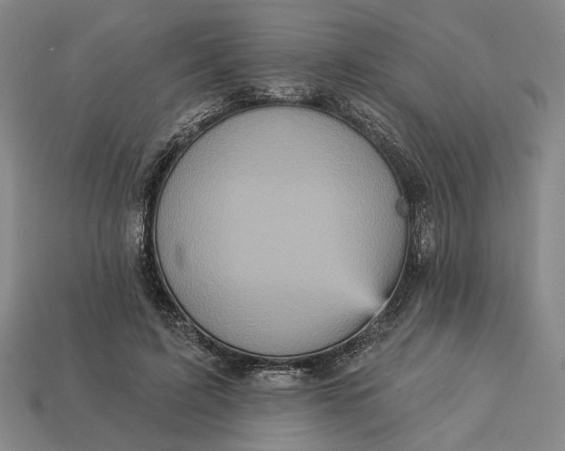 X0000112960595200909101634