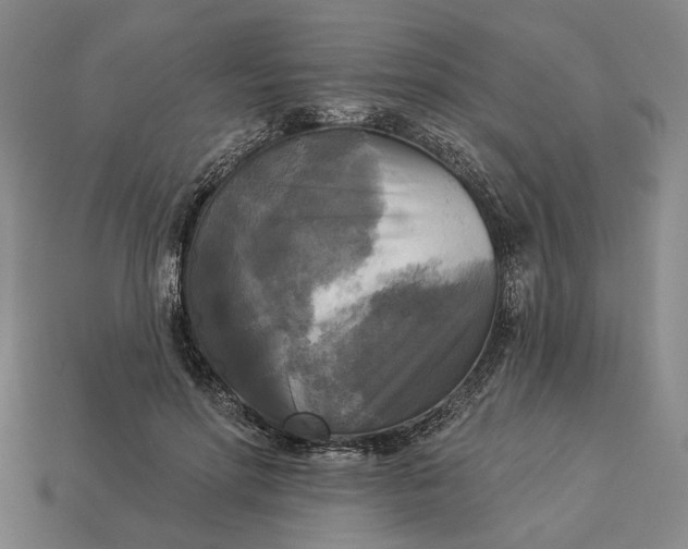 X0000112960598200909101634