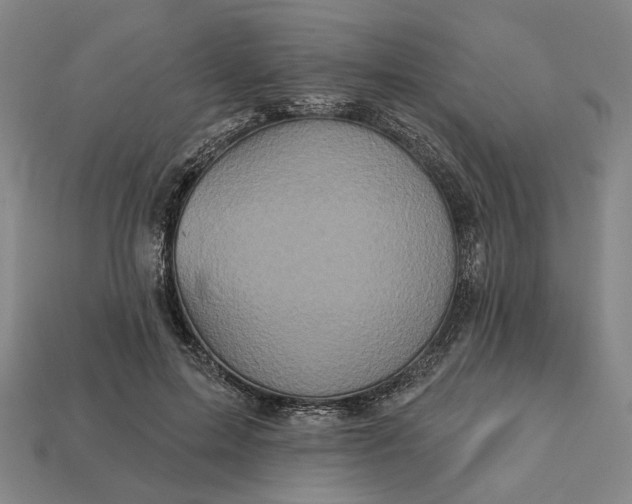 X0000112960599200909101634