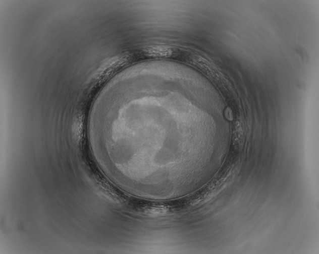 X0000112960600200909101634