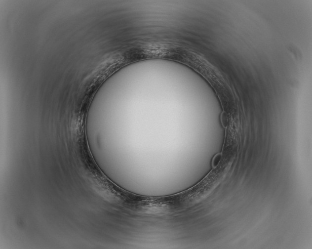 X0000112960601200909101634