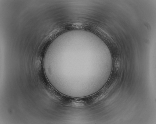 X0000112960603200909101634