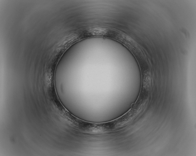 X0000112960604200909101634