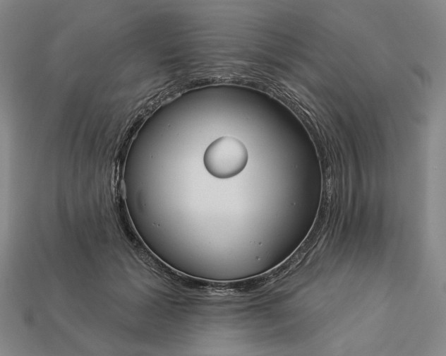 X0000112960605200909101634